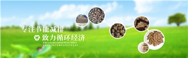 倪維斗院士：通過技術(shù)創(chuàng)新，大力發(fā)展超級能源生物質(zhì)燃料